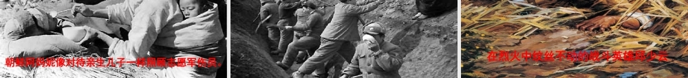 《再见了，亲人》教学课件2