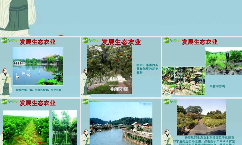 八年级生物下册 (建设美好的家园)课件1(13张PPT) 苏科版 课件