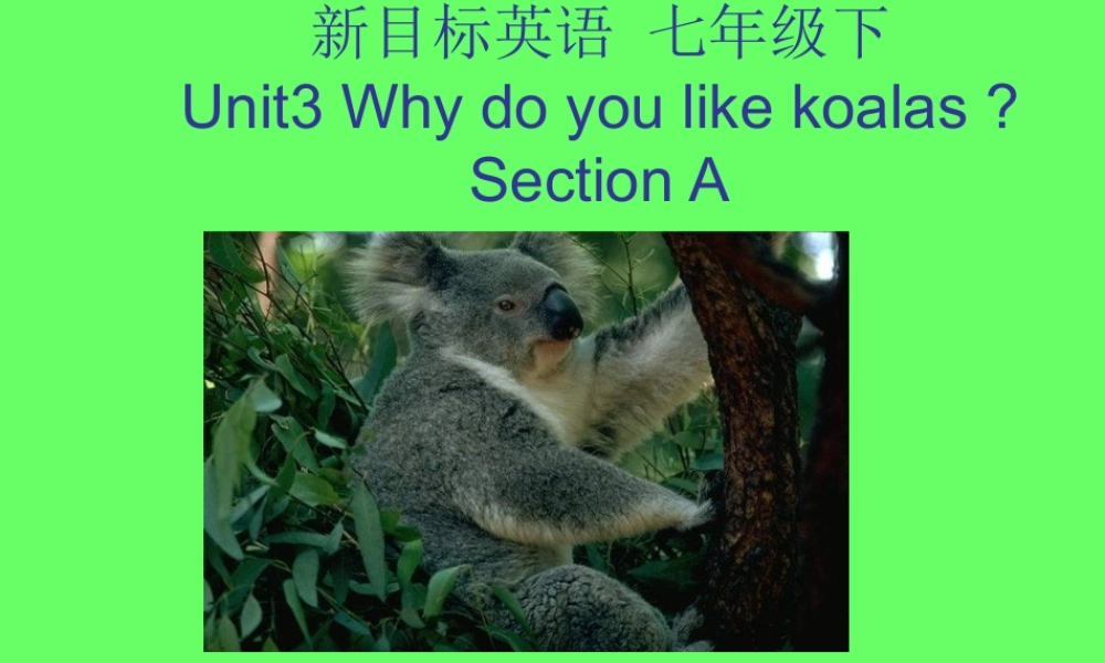 七年级英语下册unit3第一课时课件