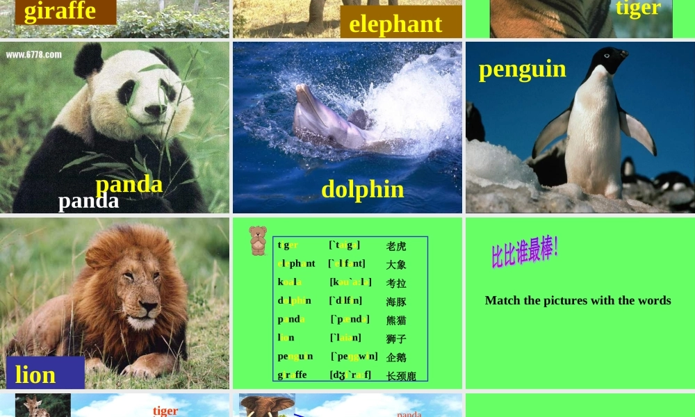 七年级英语下册unit3第一课时课件