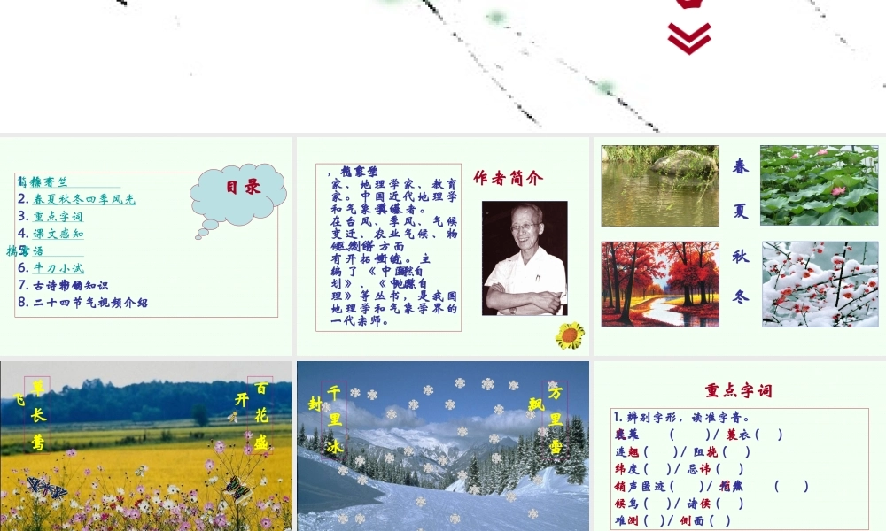 八年级语文 第十六课 大自然的语言课件 新课标 人教版 课件