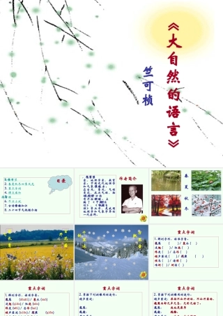 八年级语文 第十六课 大自然的语言课件 新课标 人教版 课件