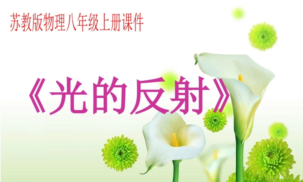 八年级物理上册光的反射课件