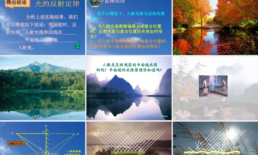 八年级物理上册光的反射课件