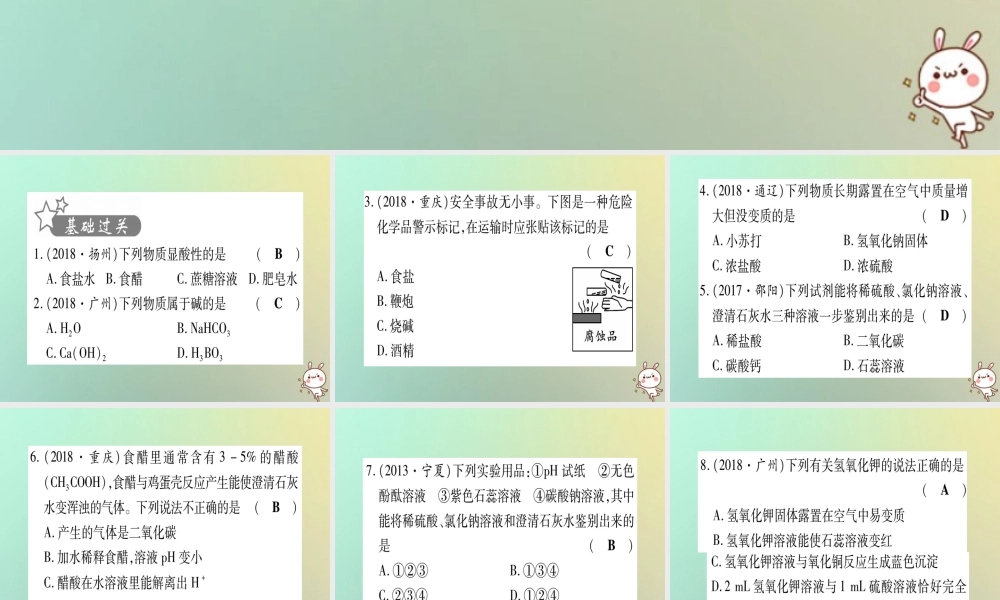 中考化学准点备考复习 第一部分 教材系统复习 第10讲 酸和碱复习作业课件 新人教版 课件