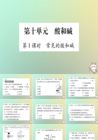 中考化学准点备考复习 第一部分 教材系统复习 第10讲 酸和碱复习作业课件 新人教版 课件