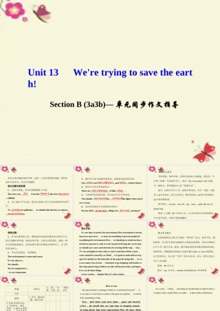 九年级英语全册 Unit 13 We're trying to save the earth Section B(3a 3b)单元同步作文指导课件 (新版)人教新目标版 课件