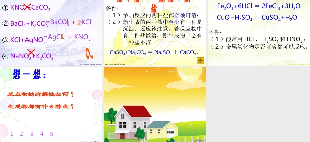 初三化学复分解反应的条件课件