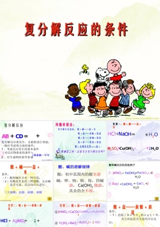 初三化学复分解反应的条件课件