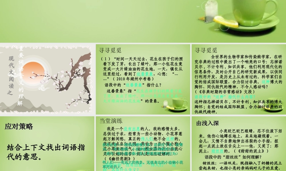 八年级语文下册 课外阅读 词语含义分析课件 苏教版 课件