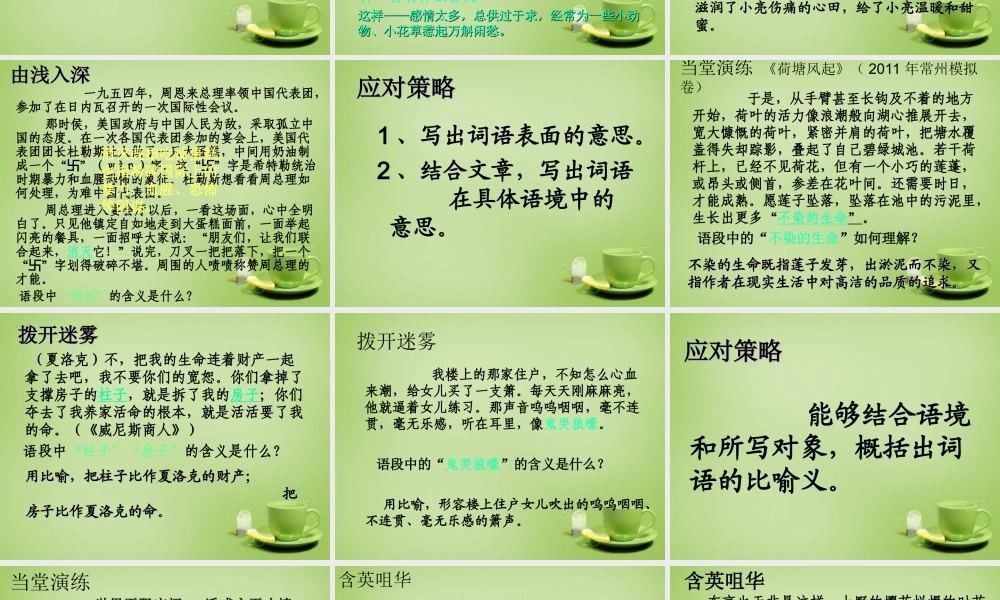 八年级语文下册 课外阅读 词语含义分析课件 苏教版 课件