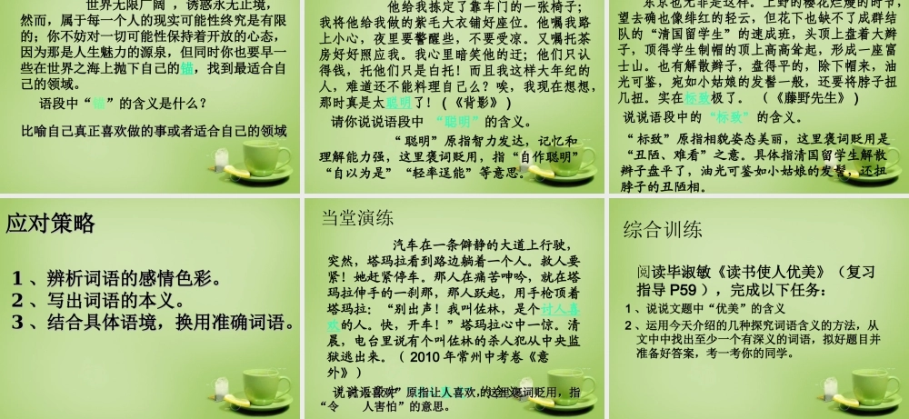 八年级语文下册 课外阅读 词语含义分析课件 苏教版 课件