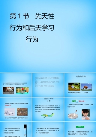 八年级生物上册 第16章 第1节(先天性行为和后天学习行为)课件1 北师大版 课件
