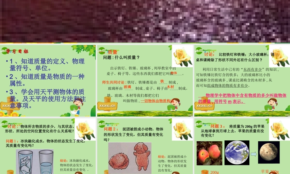 九年级物理 二 质量课件人教新课标版 课件