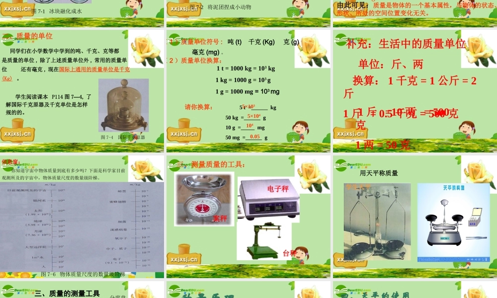 九年级物理 二 质量课件人教新课标版 课件