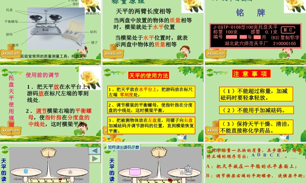 九年级物理 二 质量课件人教新课标版 课件