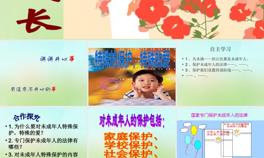 中学七年级政治下册 4.8.1(特殊的保护 特殊的爱)课件 新人教版 课件