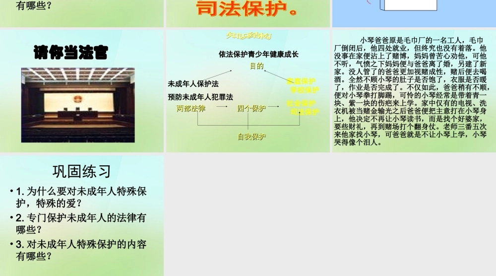 中学七年级政治下册 4.8.1(特殊的保护 特殊的爱)课件 新人教版 课件