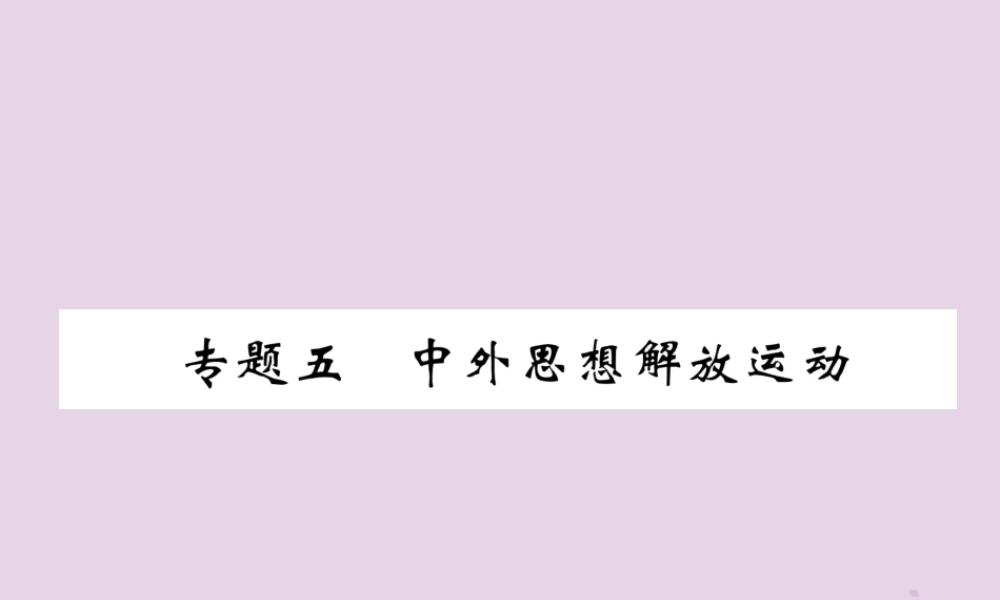 中考历史总复习 第二编 热点专题速查篇 专题5 中外思想解放运动(精练)课件