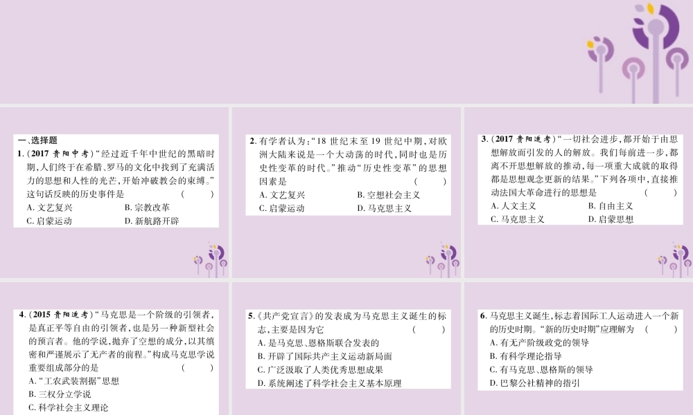 中考历史总复习 第二编 热点专题速查篇 专题5 中外思想解放运动(精练)课件