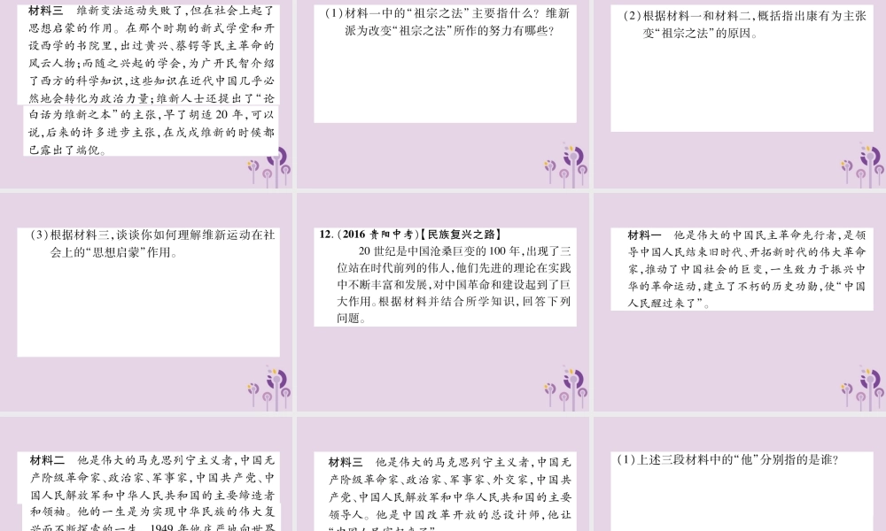 中考历史总复习 第二编 热点专题速查篇 专题5 中外思想解放运动(精练)课件