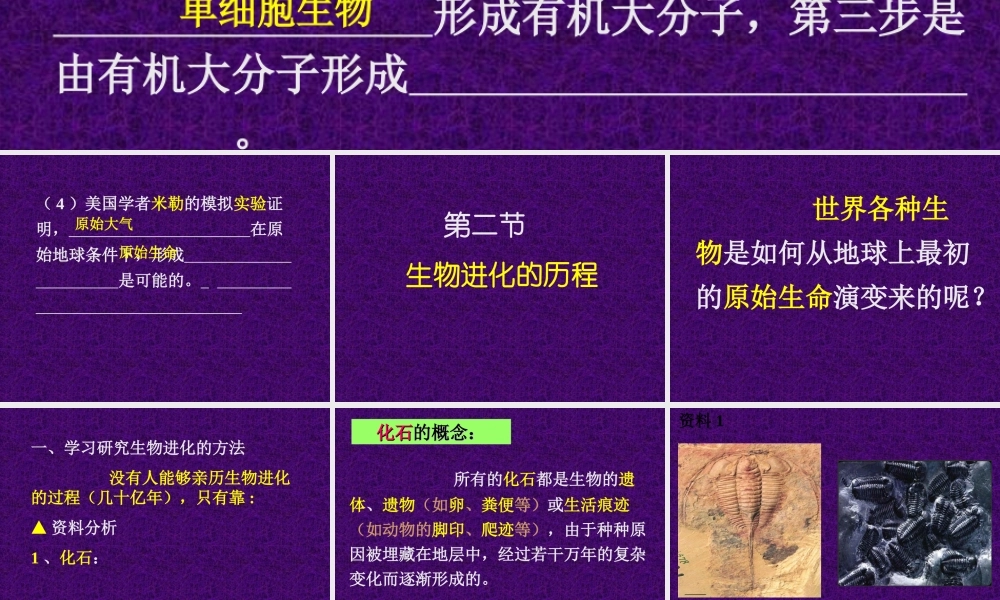 八(下)第七单元第三章第二节_生物进化的历程