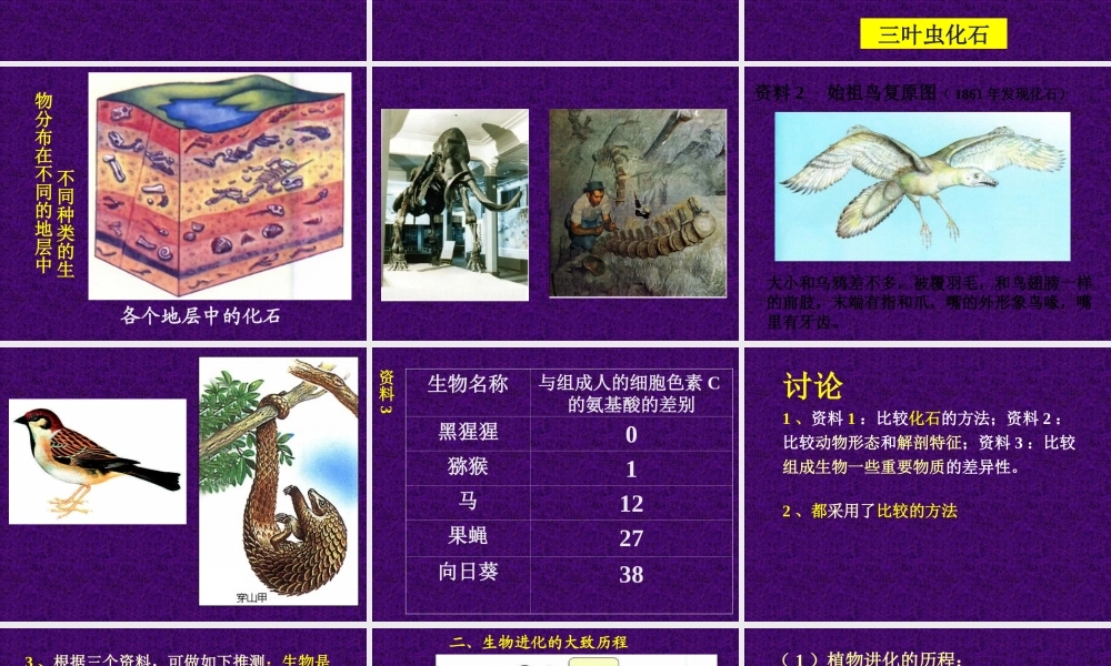 八(下)第七单元第三章第二节_生物进化的历程