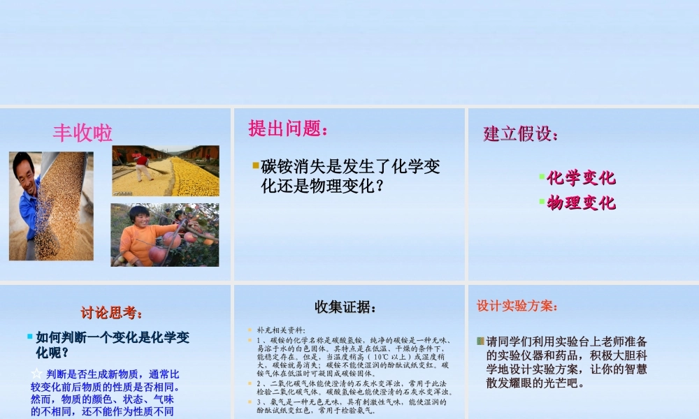 八年级化学 探究实验(碳铵哪去了)课件 鲁教版 课件