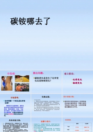 八年级化学 探究实验(碳铵哪去了)课件 鲁教版 课件