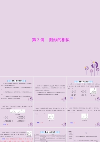 广东省中考数学复习 第一部分 中考基础复习 第五章 图形与变换 第2讲 图形的相似课件