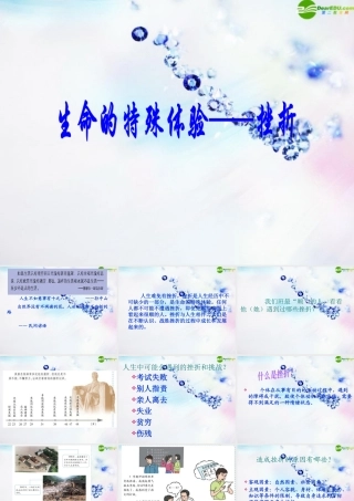 八年级政治下册 第二课(生命的滋味)课件 人民版 课件