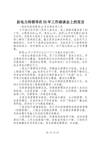 县电力局领导在XX年工作座谈会上的发言