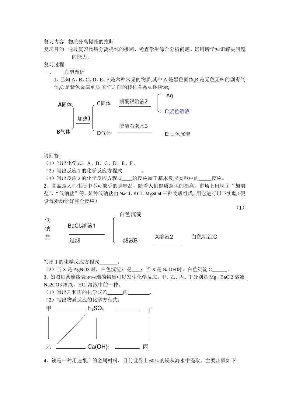 复习内容物质分离提纯的推断_第1页