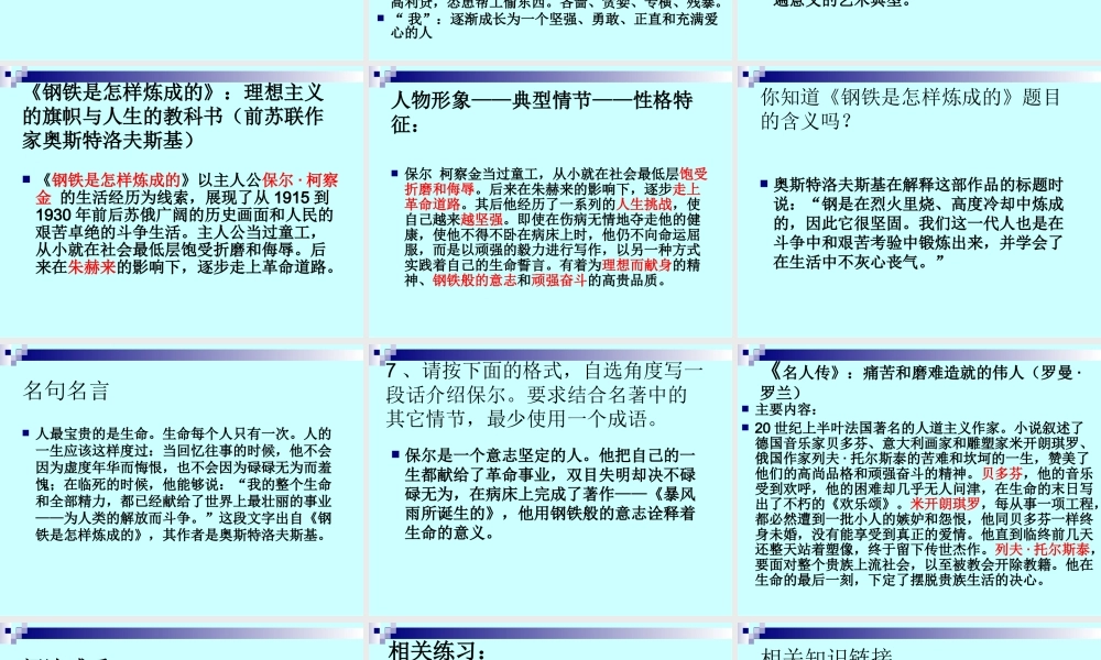 九年级语文中考备考中外名著阅读课件人教版 课件