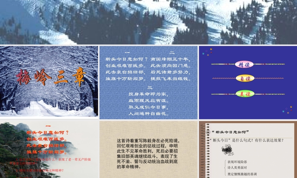 七年级语文下册(梅岭三章)课件 北师大版 课件