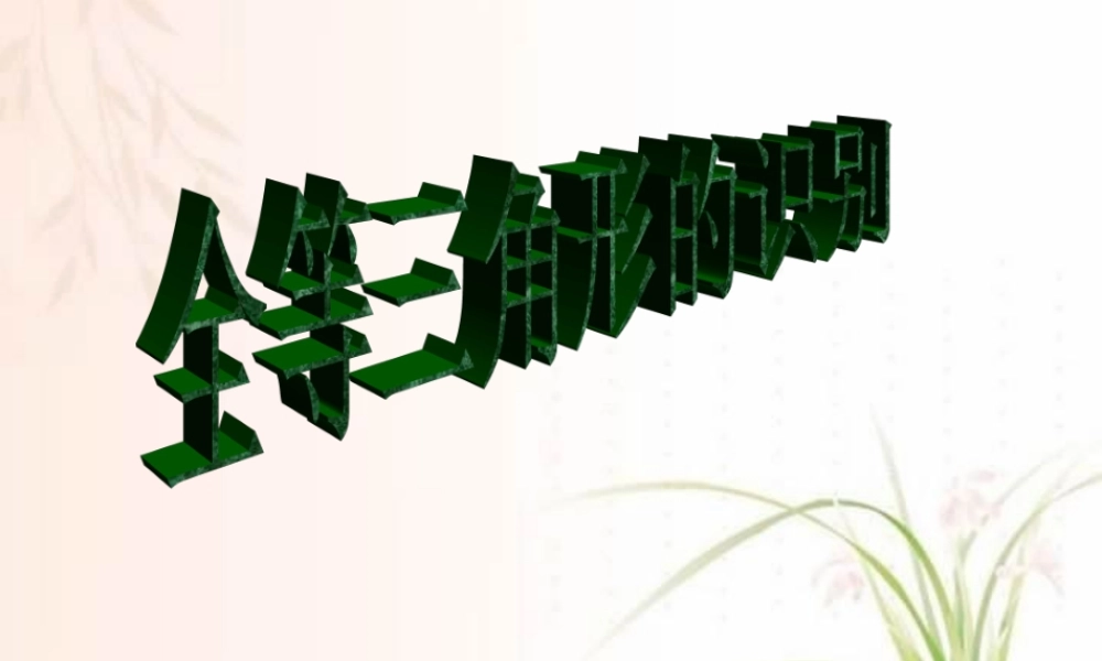 全等三角形的识别课件示例二 课件