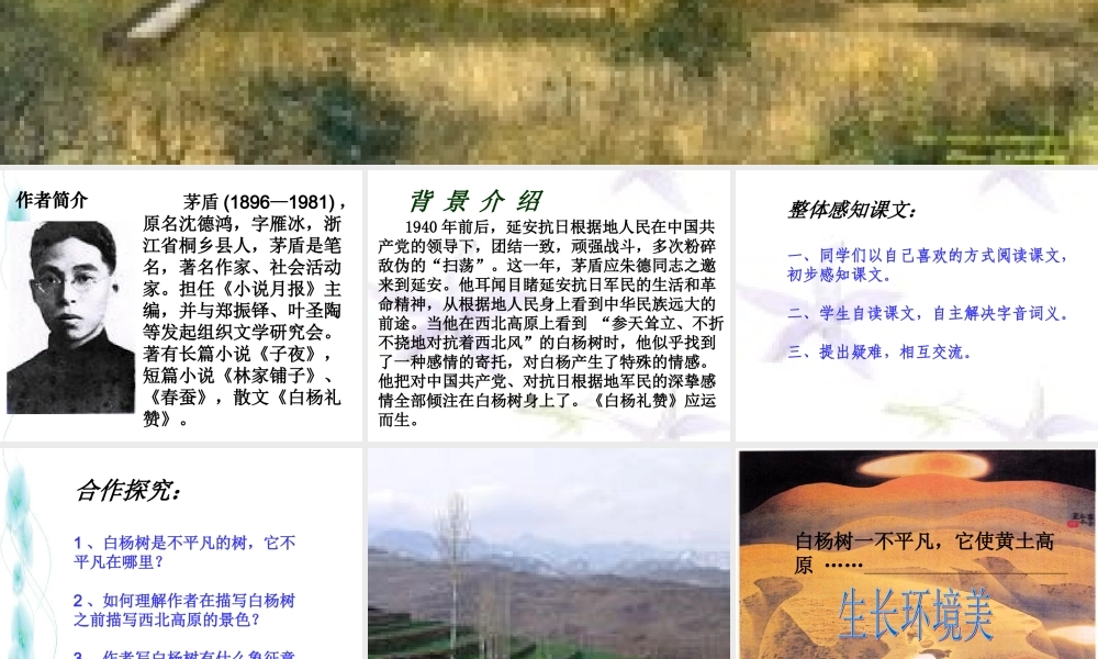 九年级语文下册 第5课(白杨礼赞)课件 北师大版 课件