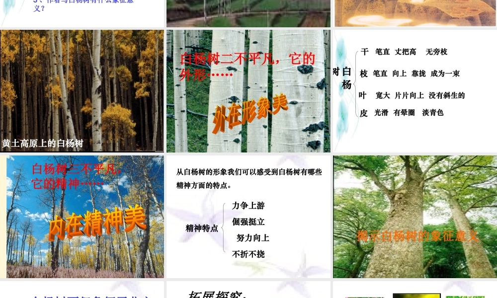 九年级语文下册 第5课(白杨礼赞)课件 北师大版 课件