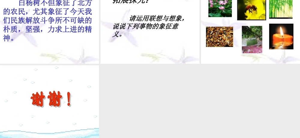 九年级语文下册 第5课(白杨礼赞)课件 北师大版 课件