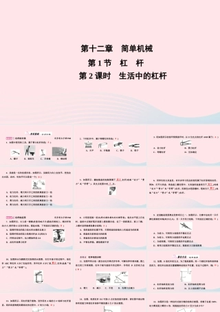 八年级物理下册 第12章 第1节 第2课时 生活中的杠杆课件 (新版)新人教版 课件