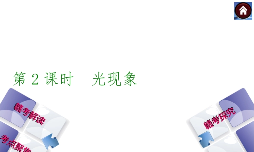 中考复习光现象