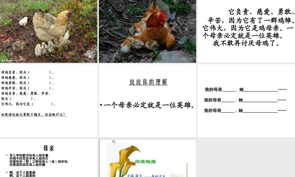 四年级语文上册《母鸡》教学课件