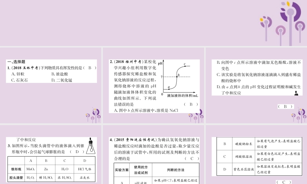 中考化学总复习 第1编 主题复习 模块1 身边的化学物质 课时7 酸和碱(精练)课件