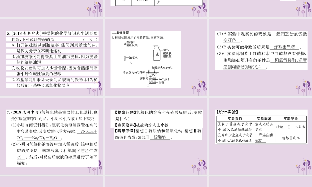 中考化学总复习 第1编 主题复习 模块1 身边的化学物质 课时7 酸和碱(精练)课件