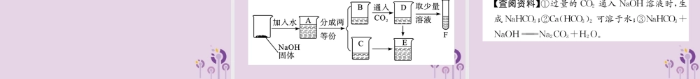 中考化学总复习 第1编 主题复习 模块1 身边的化学物质 课时7 酸和碱(精练)课件