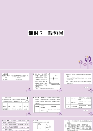 中考化学总复习 第1编 主题复习 模块1 身边的化学物质 课时7 酸和碱(精练)课件