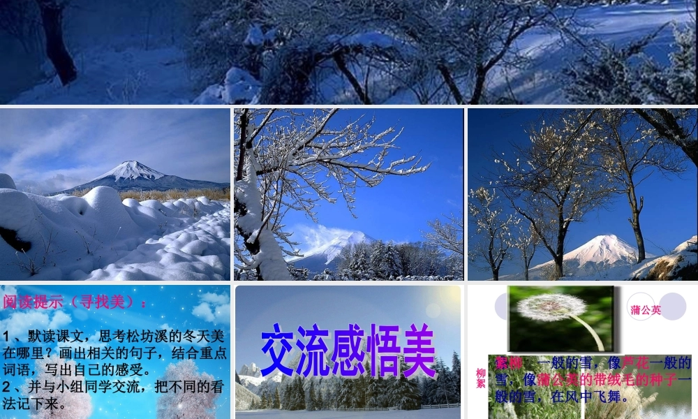 松坊溪的冬天 (2)