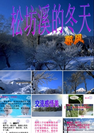 松坊溪的冬天 (2)