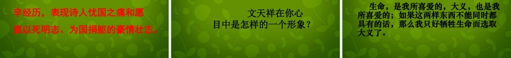八年级语文上册 9(古诗四首)过零丁洋课件2 苏教版 课件