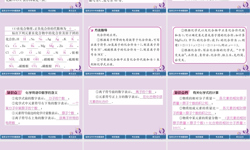 中考化学总复习 第1编 教材知识梳理 第4单元 自然界的水 第2讲 化学式和化合价(精讲)课件